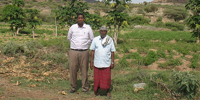 Somaliland Farm Project with Gollis University