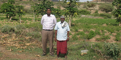 Somaliland Farm Project with Gollis University